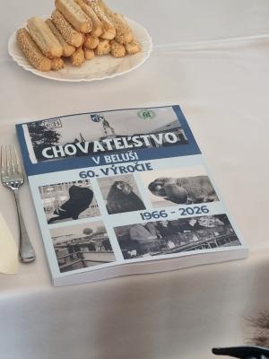 kronika organizácie